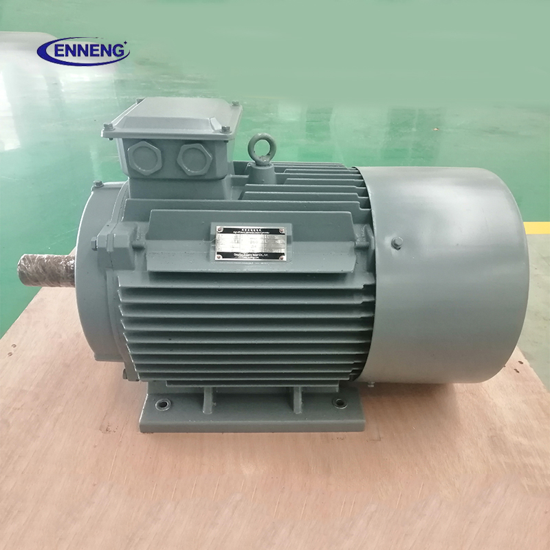 Enneng 5KW Wind Generator Alternative Energy with Free Permanent Magnet 200KW 40KW Output