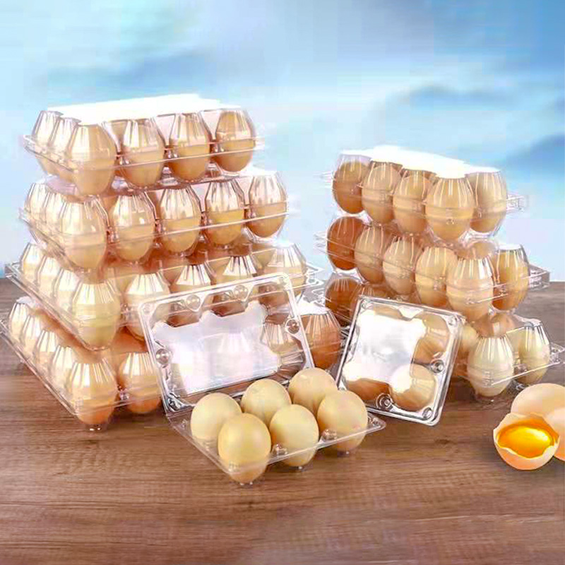 Good Sale Clear Disposable Plastic Clamshell packing Egg Boxes container