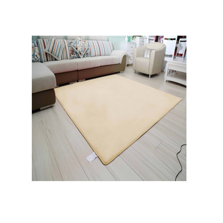 Home decoration thick soft smooth 1.5cm thick sponge living room carpet