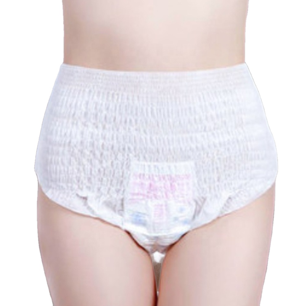 OEM Heavy Flow Top Korean Hygiene Sanitary Women'S Pads For Women Disposable Lady Menstrual Pants One Use Period Panties