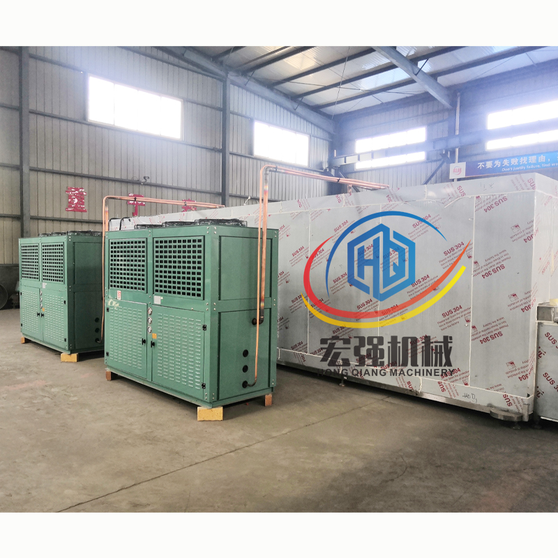 Hongqiang замороженный картофель фри производственная линия фрукты и овощи IQF морозильная камера