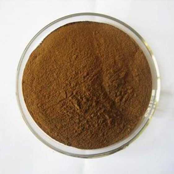 Оптовые поставки надежного качества экстракт корня имбиря 20% Gingerol