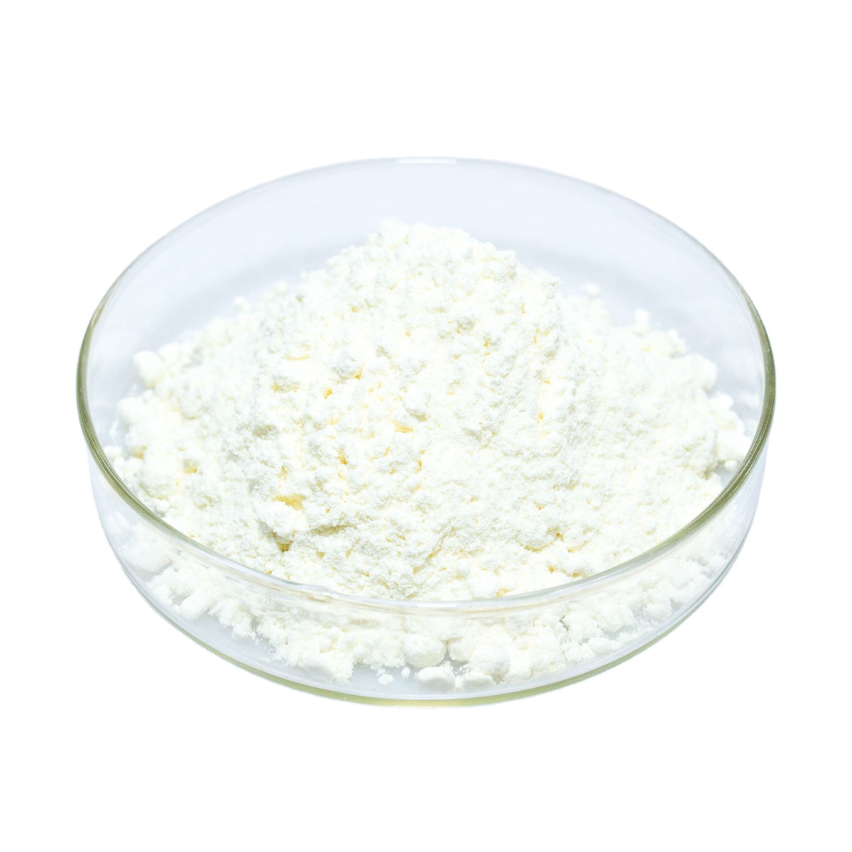 Пищевой Bacillus Coagulans