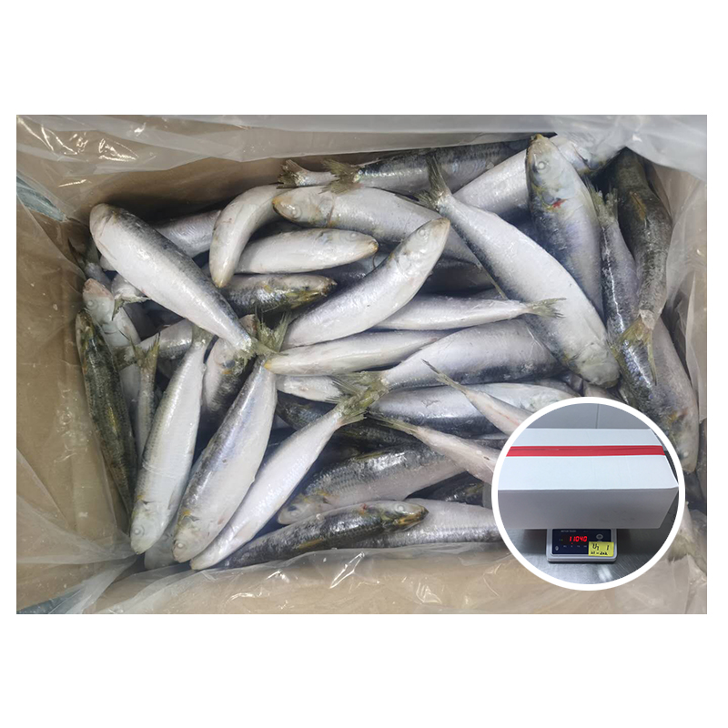 Морская рыба, морская рыба, черный Марлин HGT, для продажи