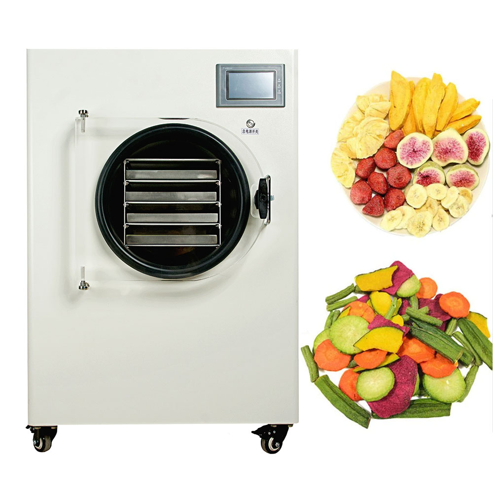 Home use food lyophilizer mini vacuum freeze dryer for coffee flowers meat milk honey and dog food