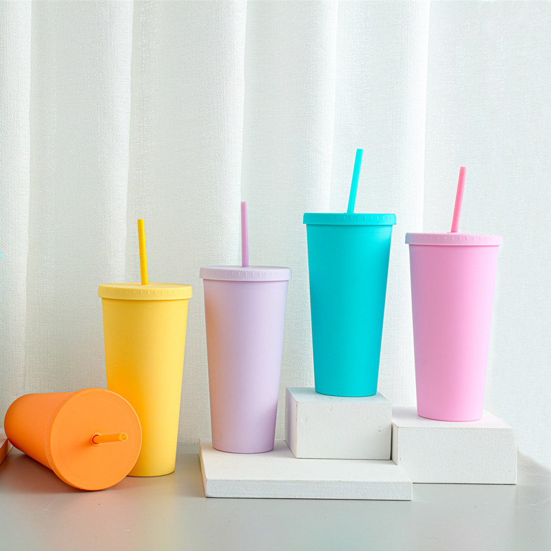 Wholesale 22oz double walled drinking Cup Reusable BPA Free Matte Pastel Colored Acrylic Tumblers with Lids and Straws