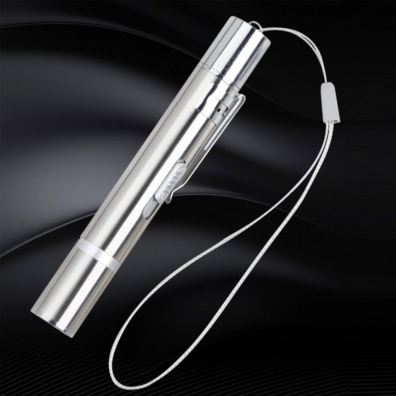 Stainless Laser Pointer Pet Cat Laser Toy Laser Pointer Electronic Rechargeable Led Light Interactive Cat Toy For Cats