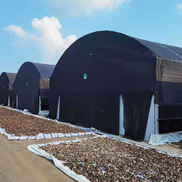 Cheap Price Agricultural Greenhouse For Mushroom Farming