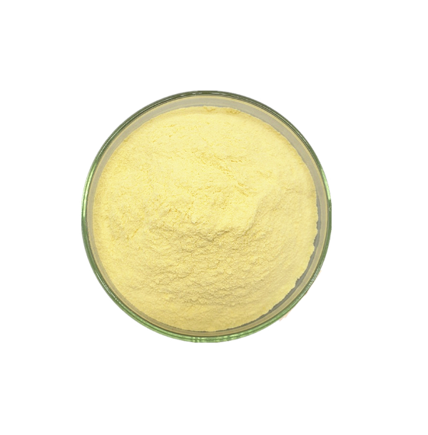 Supply factory price ginger extract water soluble