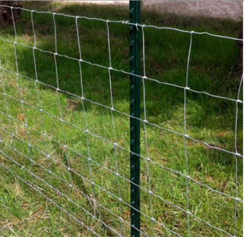 garden steel fence /farm steel fence with pvc