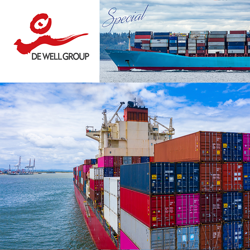 China Forwarding Agent Shipping by Sea Freight from China to USA from Shanghai to Los Angeles FCL Logistics Service