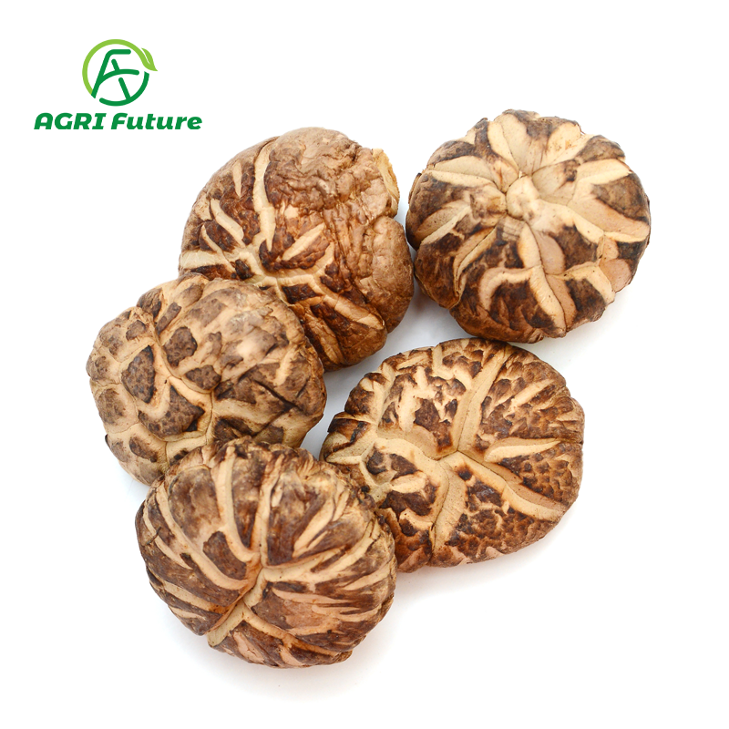 Hot Selling China Professional Manufacture Dried Flower Shiitake Mushrooms