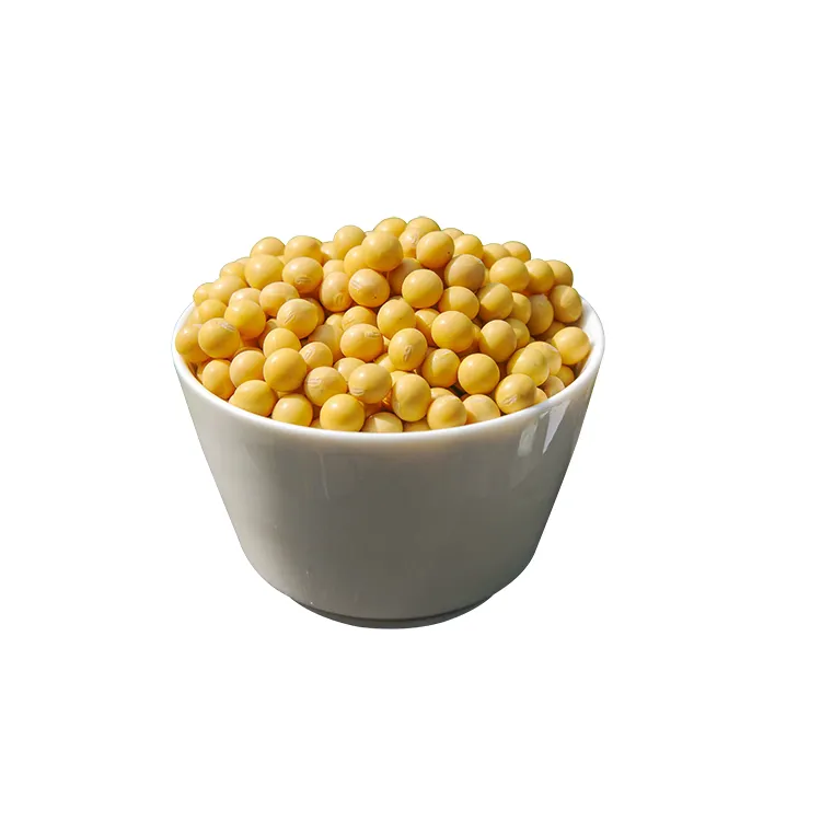 Certified Quality Healthy for Human Consumption Yellow Soybeans