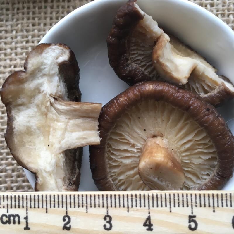 factory wholesale Dehydrated mushroom