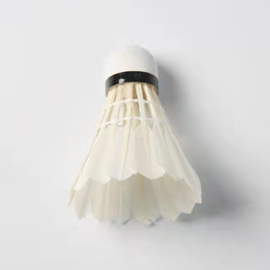 Fitness Sports Entertainment Products Sport Badminton Shuttlecock Other Sports Fitness Equipment
