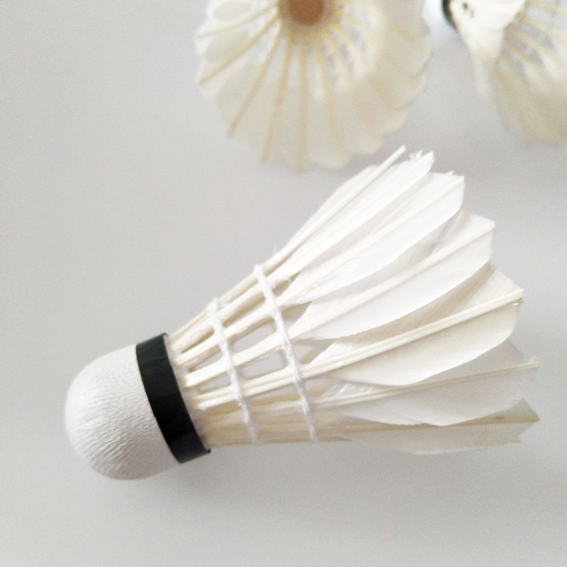 Shuttlecocks 6 pack Outdoor Indoor Sports badminton training Activities most durable goose Birdies real feather Shuttlecock