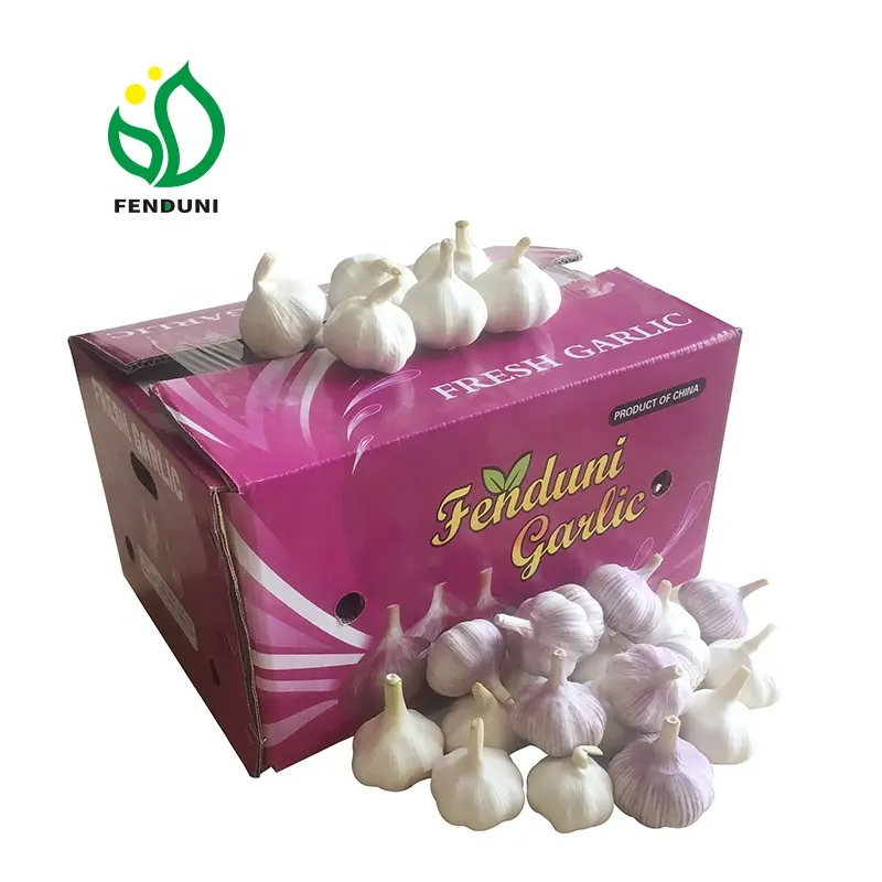 Shandong Normal White Garlic New Crop (High Quality&Low Price)