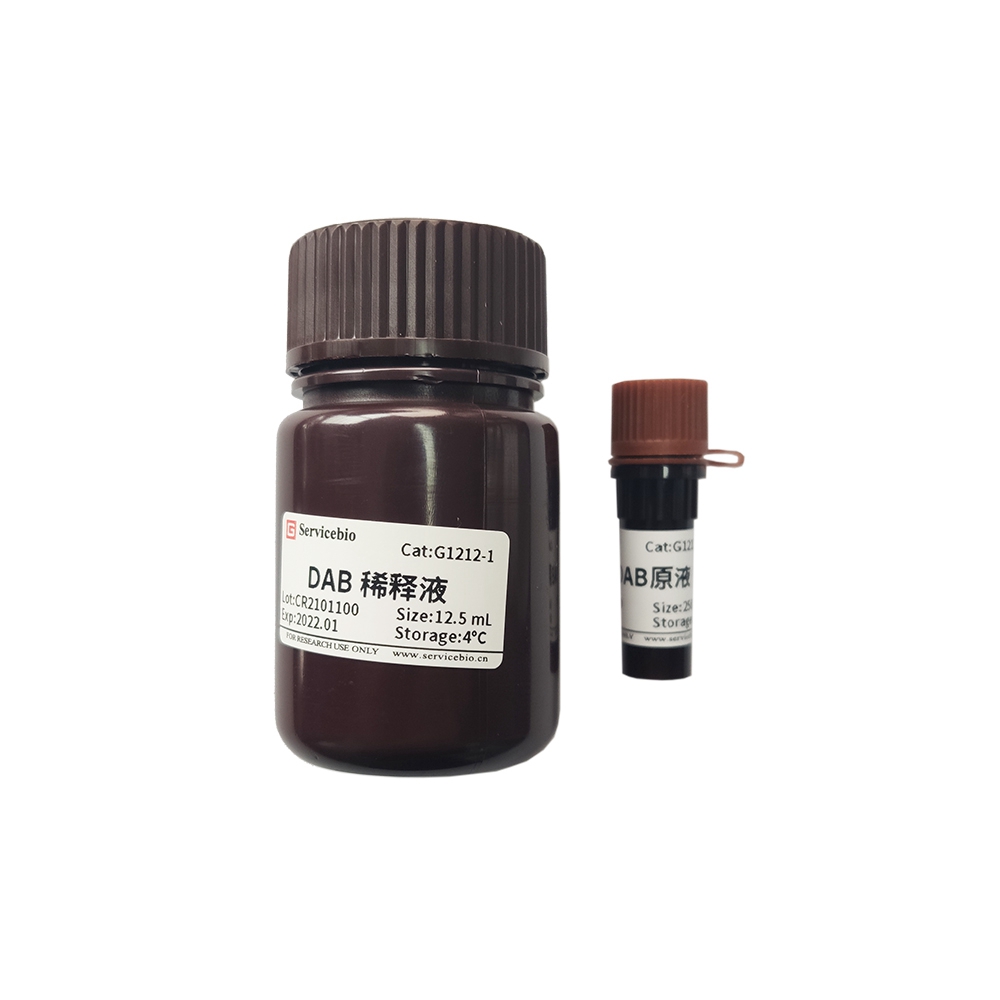 Immunohistochemical DAB Chromogenic Kit for Western Blot