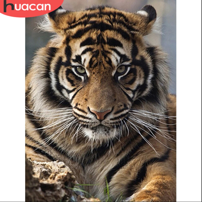 HUACAN Diamond Embroidery 5D DIY Diamond Painting Tiger Full Square/Round Drill Mosaic Painting Cross Stitch Decoration