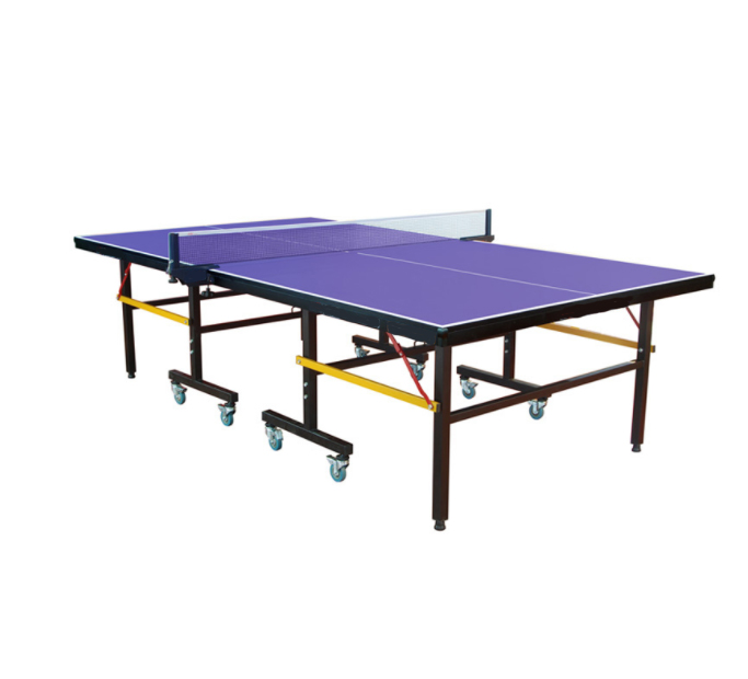 Professional Indoor Table Tennis Table - 10 Minute Easy Assembly - Table with Single Player Playback Mode