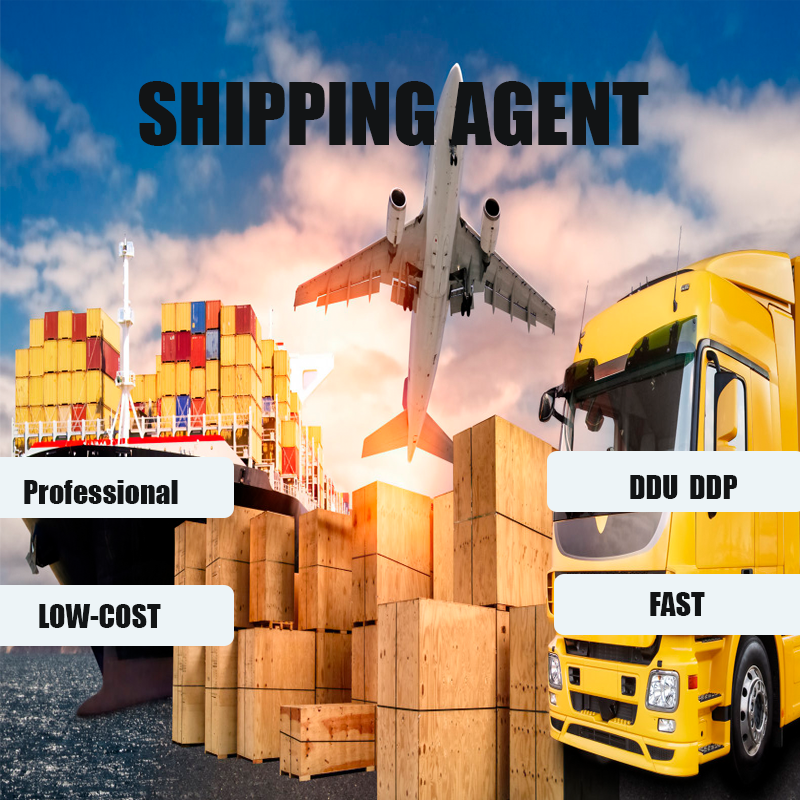 Cheapest and fastest Customs clearance and tax service sea freight forwarder china france