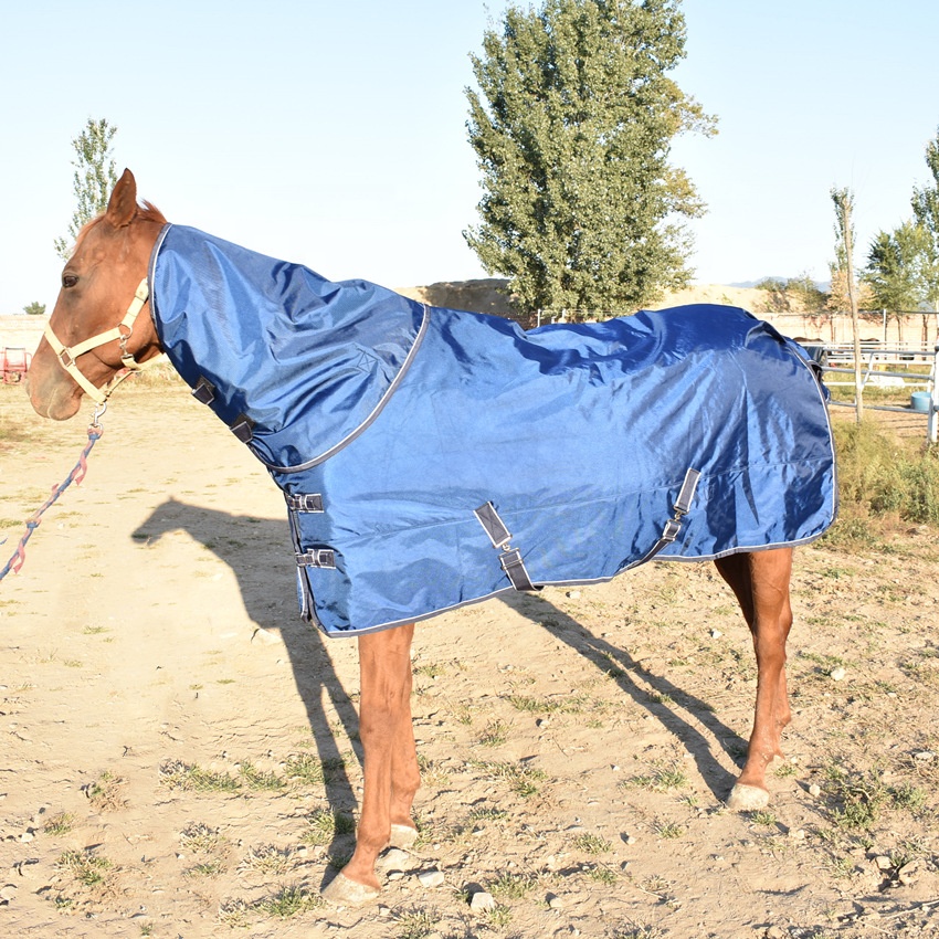 Medium Weight Custom Logo Nylon Winter Equestrian Turnout Waterproof Combo Neck horse blanket winter Horse Rugs for Horse