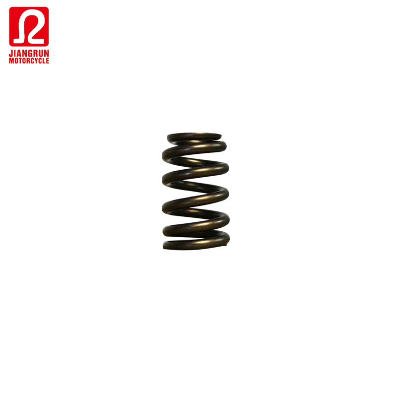 GN125 motorcycles parts valve spring for 125cc engine valve system