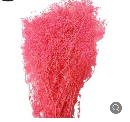 Консервированный белый, миллион звезд, сушеный цветок Babysbreath, маленький миллион звезд