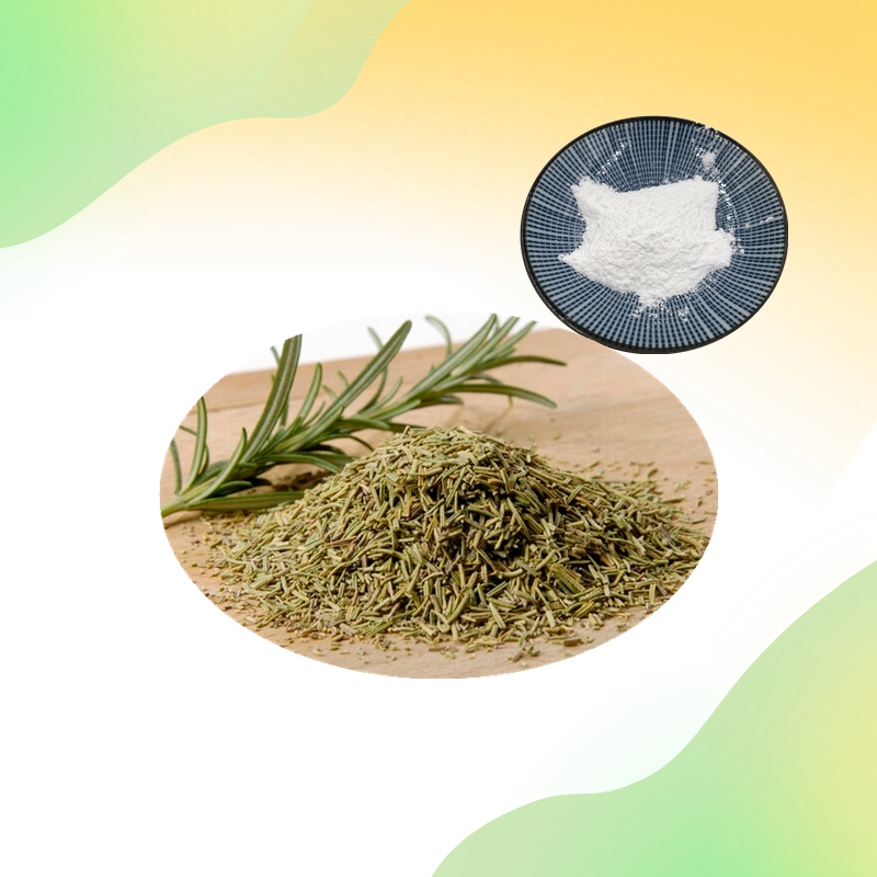 100% Natural Rosemary Extract 98% Rosmarinic Acid