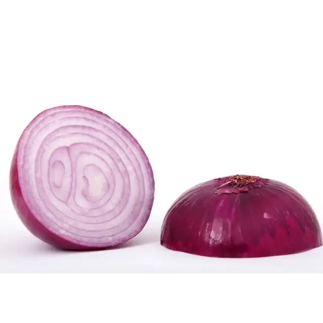 Export price high quality organic vegetables red fresh onions onions