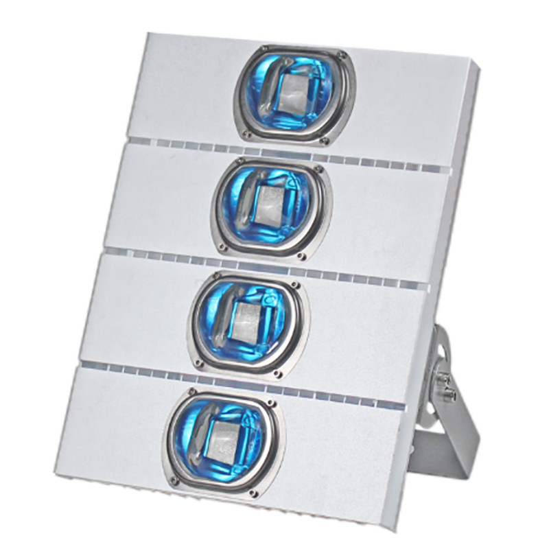 Die Casting Shell Processing, Manufacturing And Assembly Outdoor Lighting Integrated Led Tunnel Light 50W