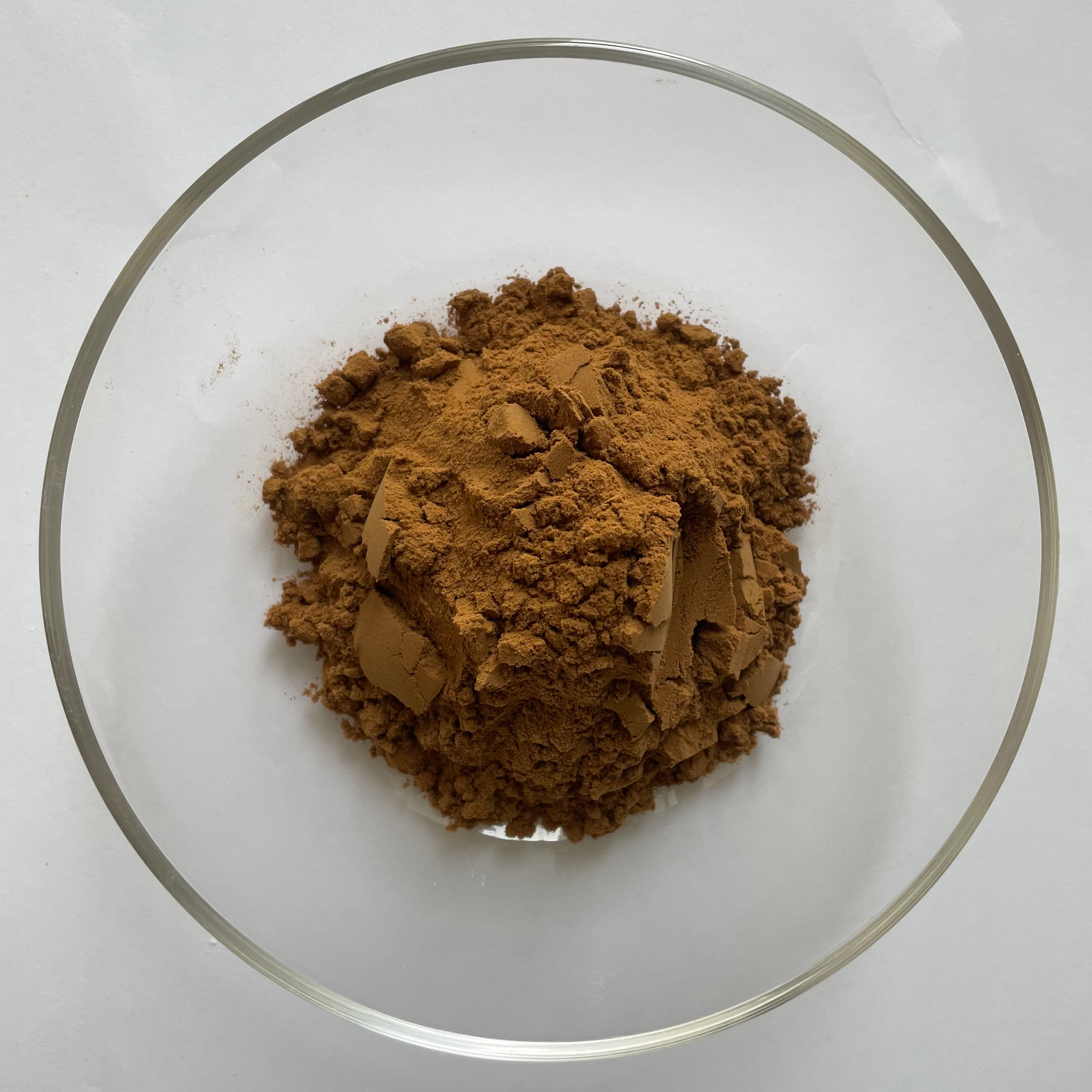 Hot Sale High-quality Rhizoma Zingiberis Recens Extract Powder 10:1 Rhizoma Zingiberis Recens