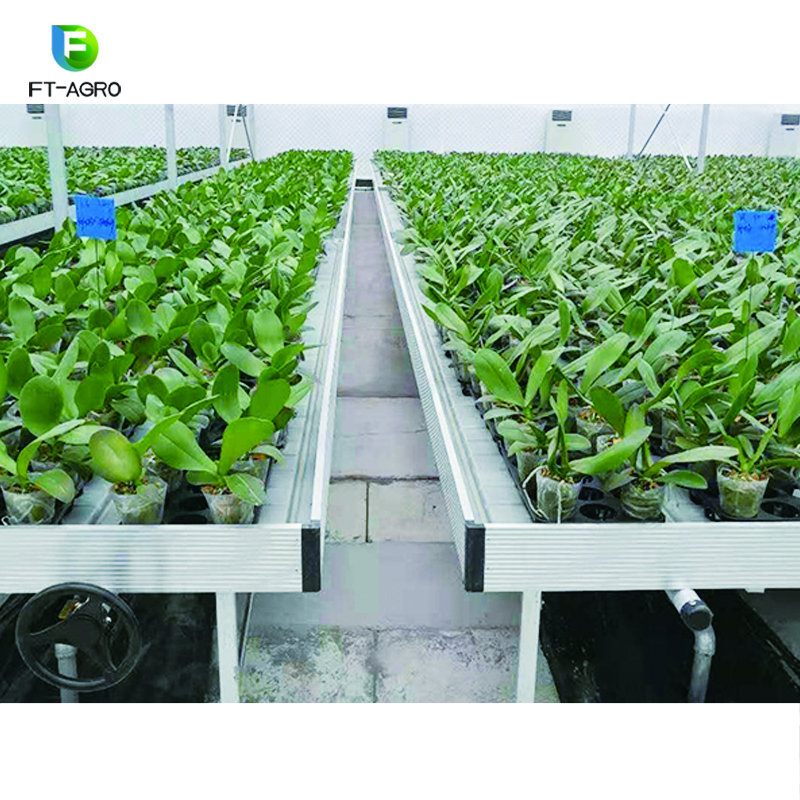 Plant nursery agricultural equipment seeding bed for vegetable growing
