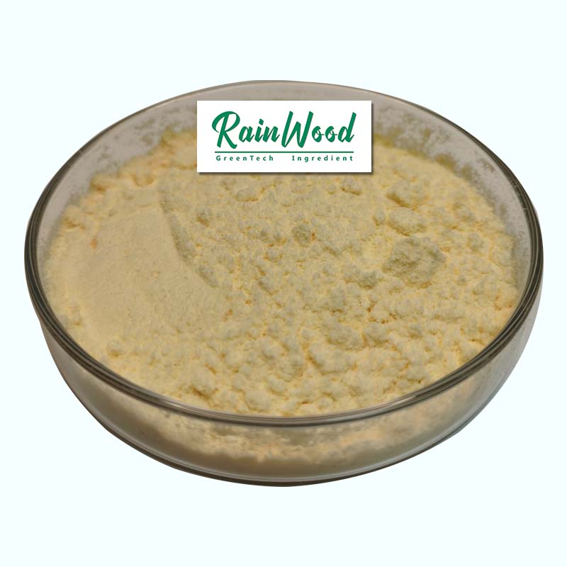 Rainwood hot selling fresh lyophilized royal jelly powder with high quality and best price