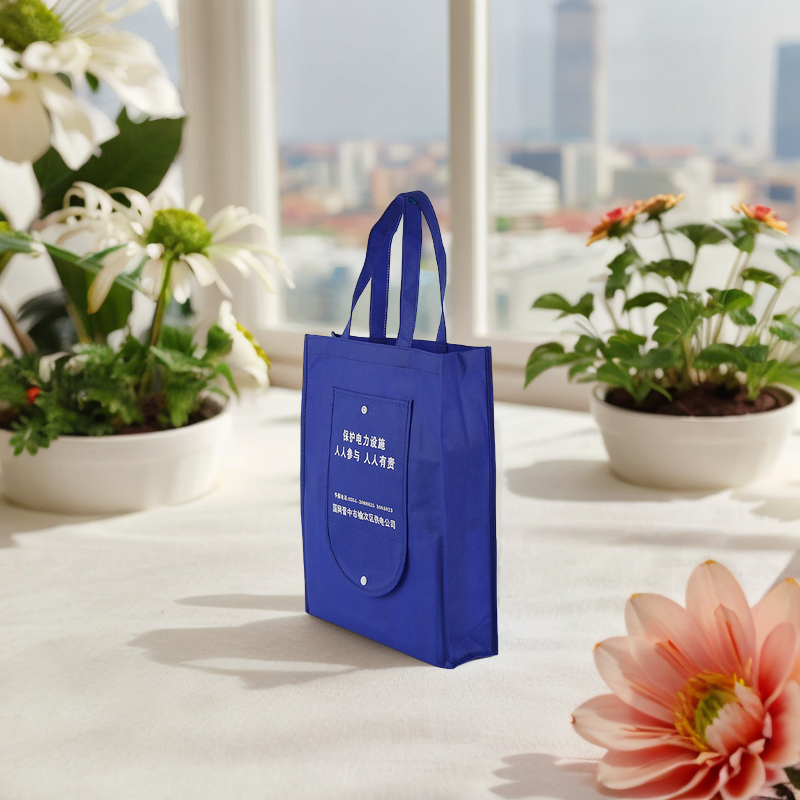 Best-Selling Foldaway Non-Woven Promotional Bag for Effective Branding and Advertising