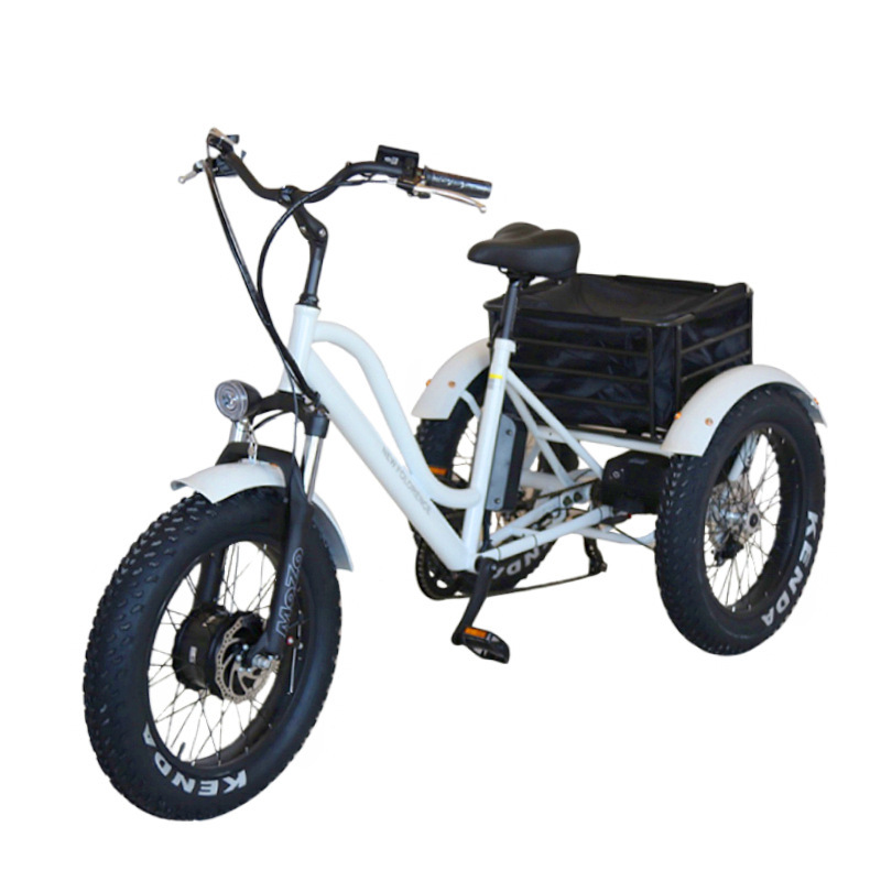 2021 new design 60V 1000W long range big wheel pedal assist electric tricycle
