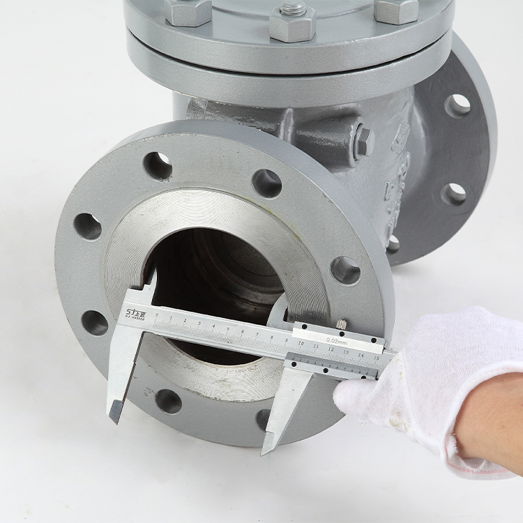 Minus 29 degrees to 350 cast steel 10 inch 150LB WCB api swing check valve