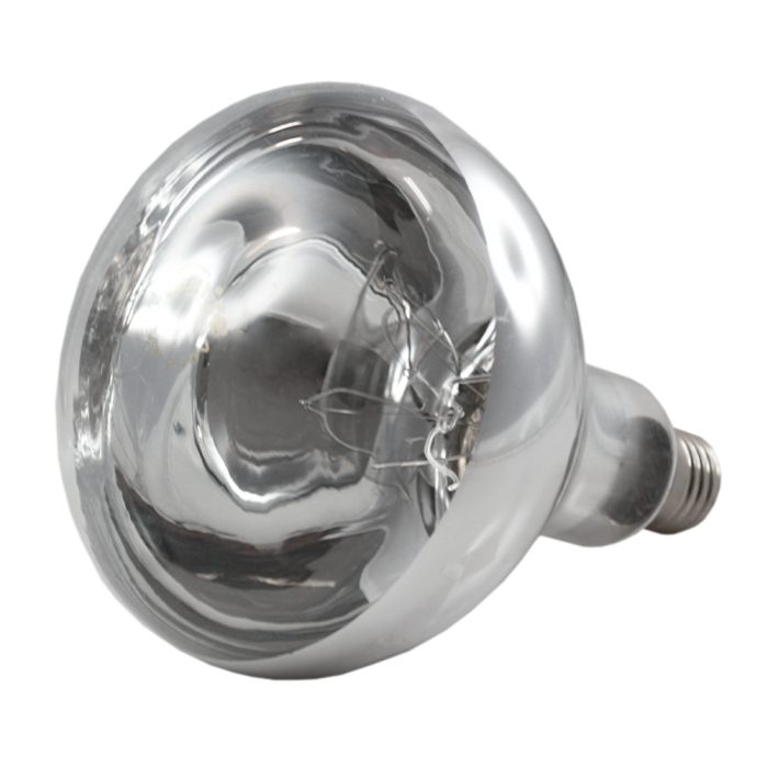 Factory Supply 250W Warm Light R125 Glass Bulb Use for Bathroom Animal Heating