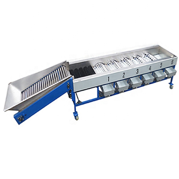 Industrial Automatic vegetable fruit grader machine