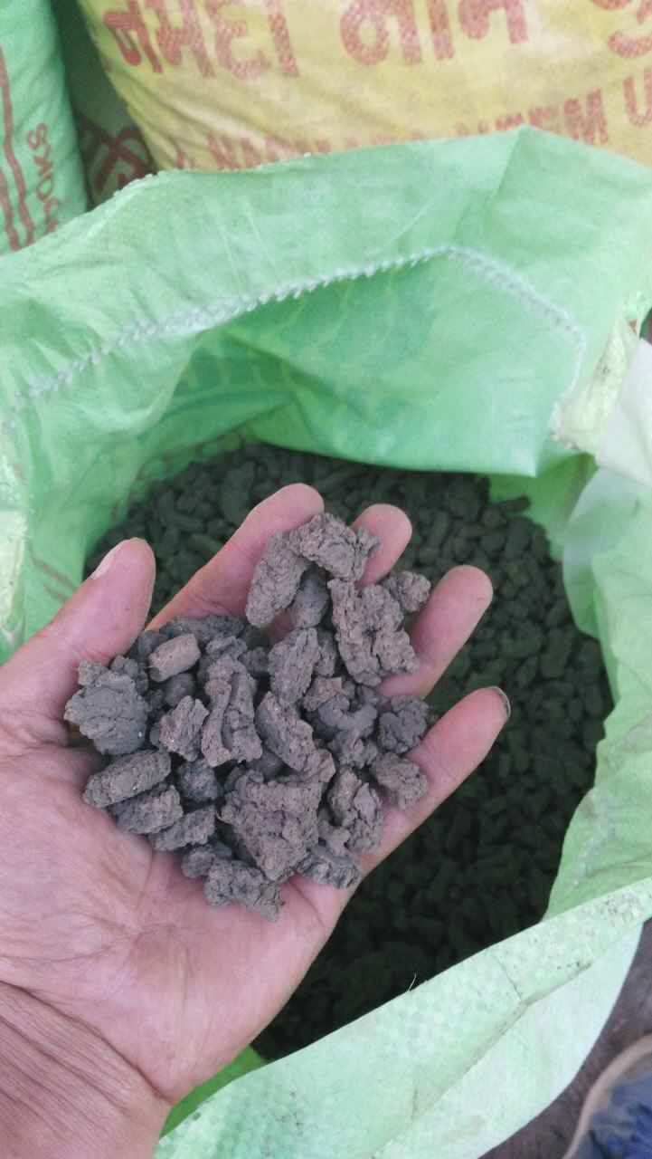 DW Series Single-Layer Mesh Belt Dryer for drying the sludge