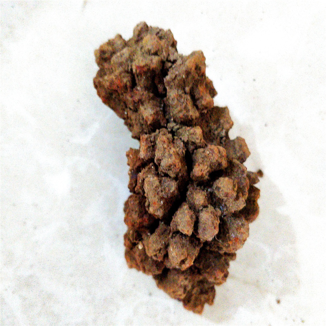 Wholesale Dinosaur Faeces Fossil Natural Monazite Specimens Rare rough Minerals Crystal on Earth