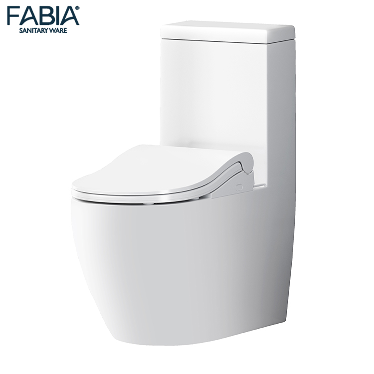 New Function warm Automatic Water Smart Intelligente Toilet Bowl Seat