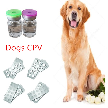 High Quality cure cpv Canine Parvovirus dog cpv