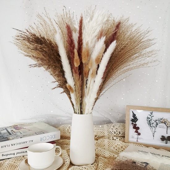 Real Dried Pampas Grass, Long Lasting, Small Pampas Grass, Cheap Price