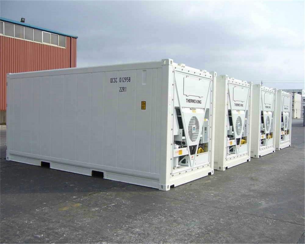 20ft 40ft Deep freezing shipping Container for long distance transportation use
