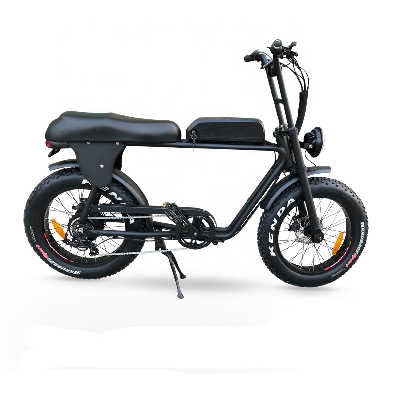 Bafang 500w hub motor electric bicycle snow cruiser with long seat for two persons