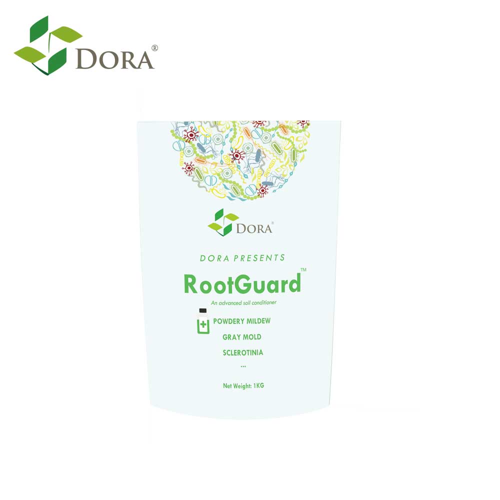 Я Promoise, что вы никогда не найдете другой, как Дора RootGuard оптимизированный Trichoderma Harzianum для зеленого сельского хозяйства