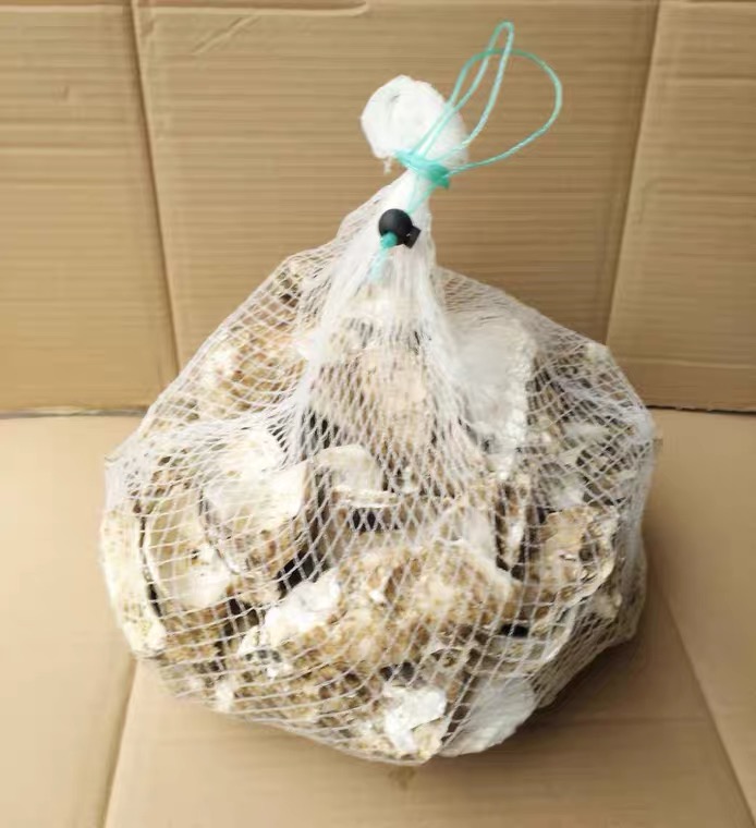 OYSTER SHELL FOR MEDIA FILTER SUMP TANK AQUARIUM