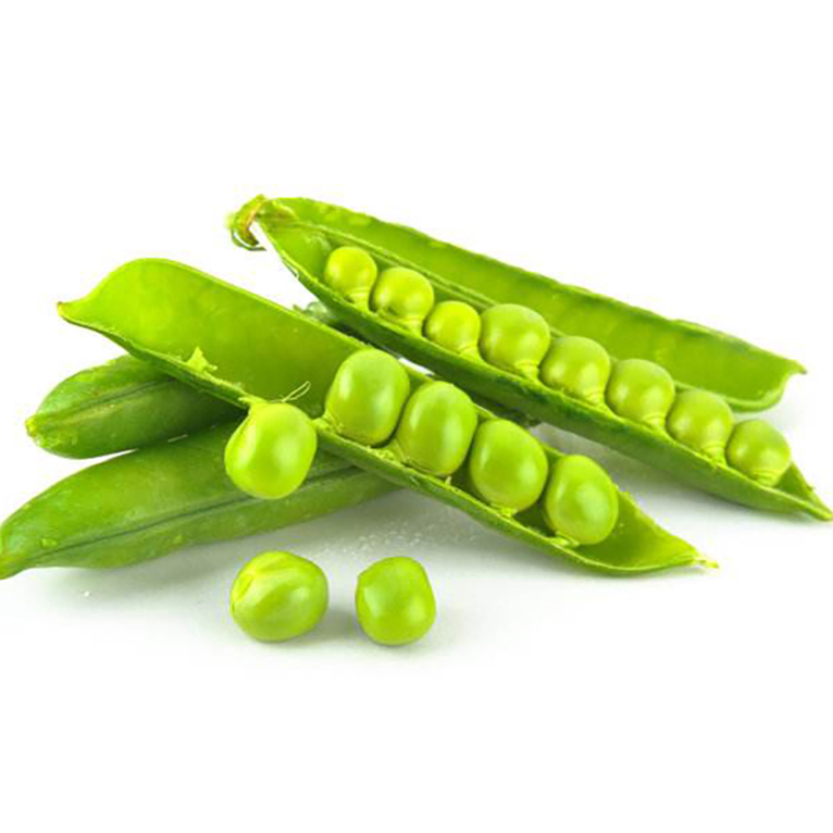 Cheap Fresh Natural Vegetable Bulk Green Peas