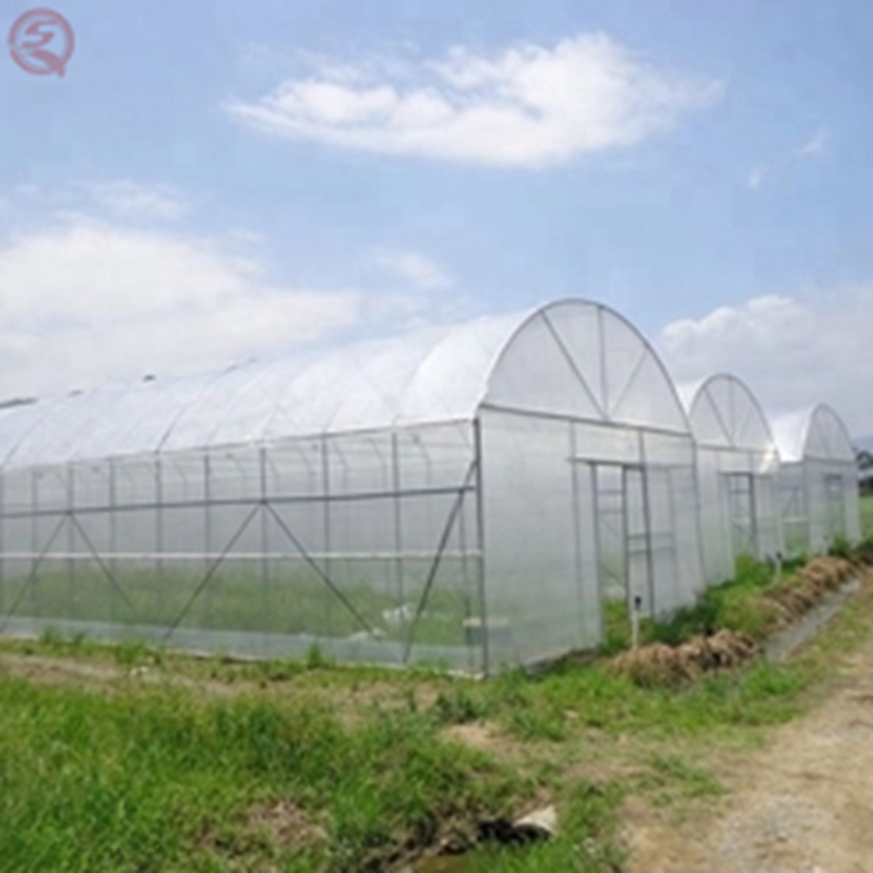 China Professional Low Tunnel Greenhouse Structure Green House Agricluture